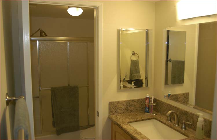 Ensuite master bathroom with full shower and tub.